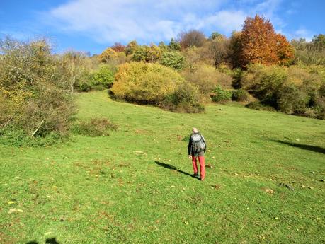 Por las brañas quirosanas de Toriezo, Faedo y Fresnéo