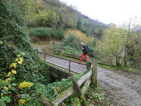 Por las brañas quirosanas de Toriezo, Faedo y Fresnéo