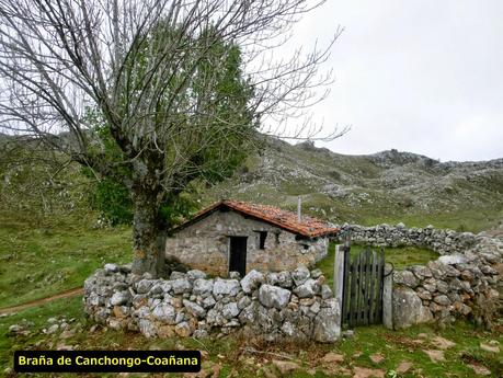 Por las brañas quirosanas de Toriezo, Faedo y Fresnéo