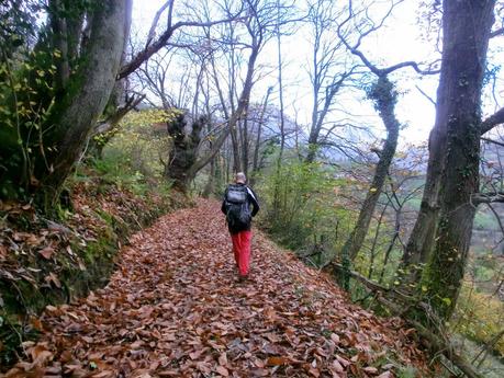 Por las brañas quirosanas de Toriezo, Faedo y Fresnéo