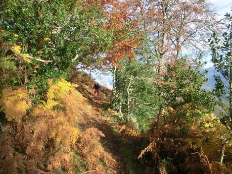 Por las brañas quirosanas de Toriezo, Faedo y Fresnéo