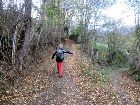 Por las brañas quirosanas de Toriezo, Faedo y Fresnéo