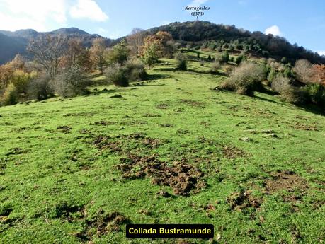 Por las brañas quirosanas de Toriezo, Faedo y Fresnéo