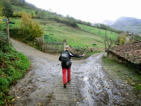 Por las brañas quirosanas de Toriezo, Faedo y Fresnéo