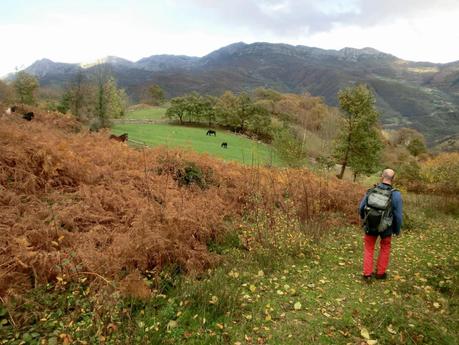 Por las brañas quirosanas de Toriezo, Faedo y Fresnéo