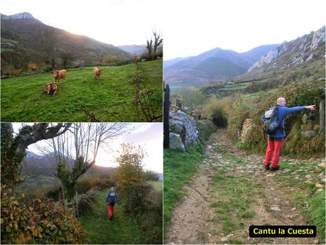 Por las brañas quirosanas de Toriezo, Faedo y Fresnéo