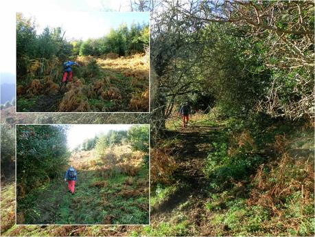 Por las brañas quirosanas de Toriezo, Faedo y Fresnéo