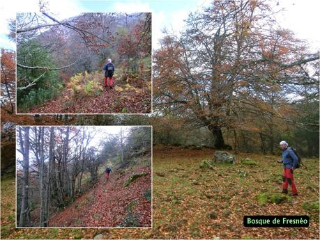 Por las brañas quirosanas de Toriezo, Faedo y Fresnéo