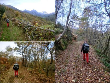 Por las brañas quirosanas de Toriezo, Faedo y Fresnéo