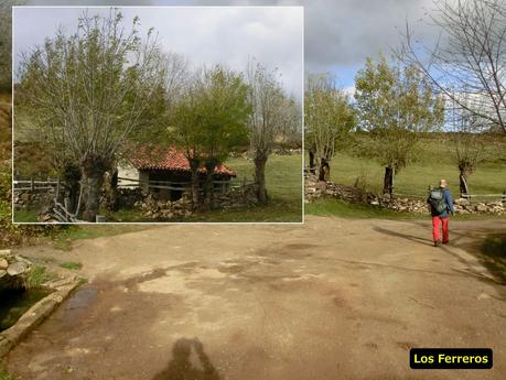 Por las brañas quirosanas de Toriezo, Faedo y Fresnéo