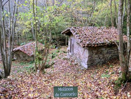 Por las brañas quirosanas de Toriezo, Faedo y Fresnéo
