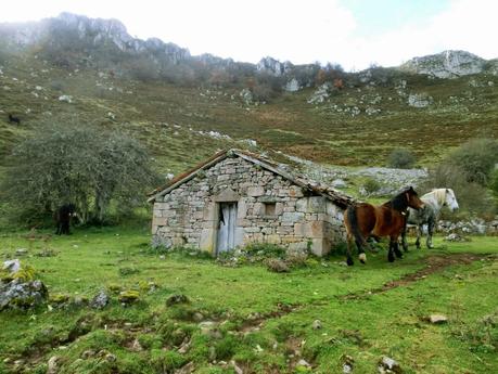 Por las brañas quirosanas de Toriezo, Faedo y Fresnéo