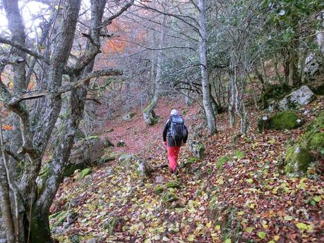 Por las brañas quirosanas de Toriezo, Faedo y Fresnéo
