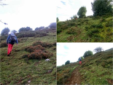 Por las brañas quirosanas de Toriezo, Faedo y Fresnéo