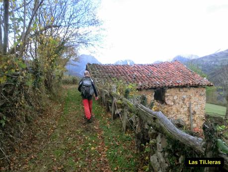Por las brañas quirosanas de Toriezo, Faedo y Fresnéo