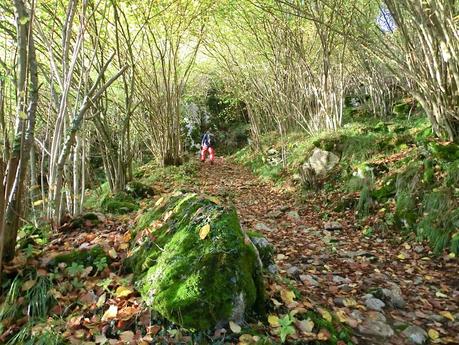 Por las brañas quirosanas de Toriezo, Faedo y Fresnéo
