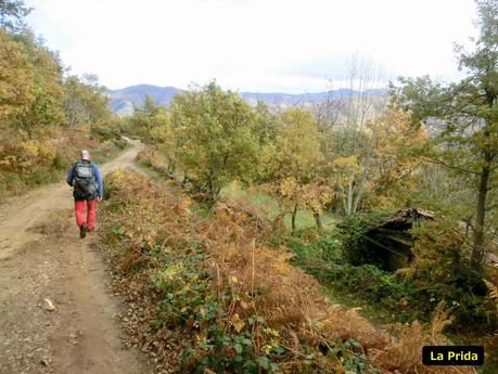 Por las brañas quirosanas de Toriezo, Faedo y Fresnéo