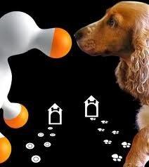 juguetes sexuales para perros