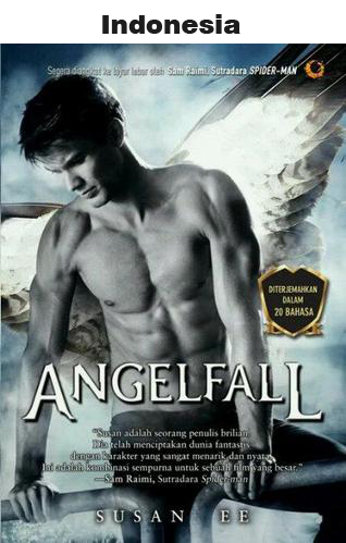 Portadas por el Mundo #6 Angelfall