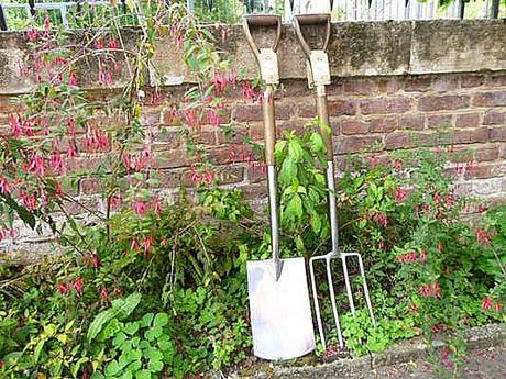 Herramientas y accesorios para el cultivo de rosales