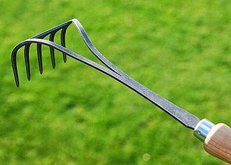 Herramientas y accesorios para el cultivo de rosales