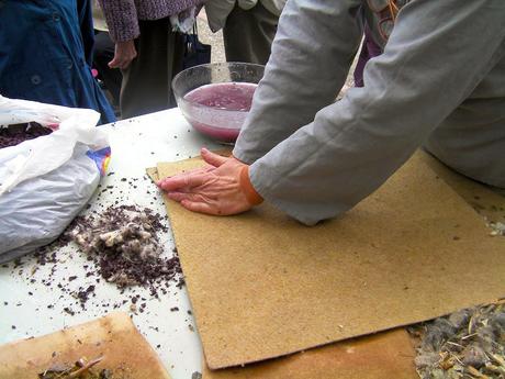 INNOVACIÓN: Ollejos de uva para crear una lámina de fibras