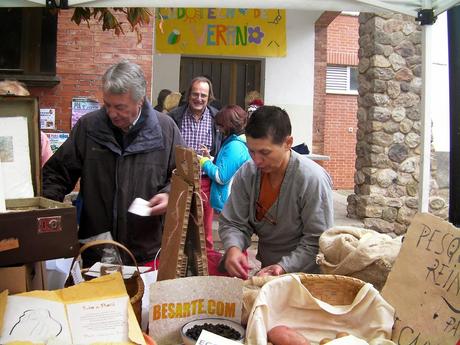 INNOVACIÓN: Ollejos de uva para crear una lámina de fibras
