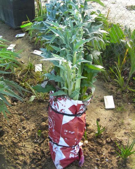 El huerto en noviembre