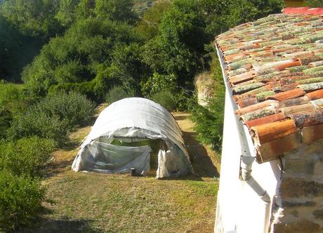 El huerto en noviembre