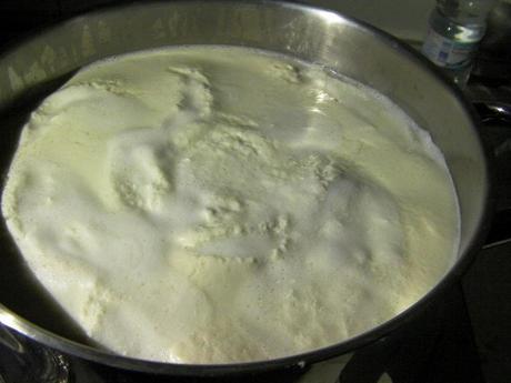 Taller de elaboración de queso de cabra Taller de elaboración de queso de cabra