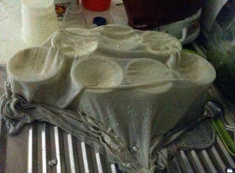 Taller de elaboración de queso de cabra Taller de elaboración de queso de cabra