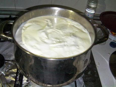 Taller de elaboración de queso de cabra Taller de elaboración de queso de cabra