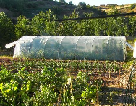 El huerto en octubre