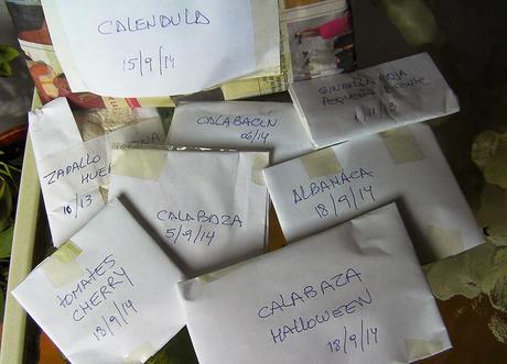 Extracción y guardado de semillas