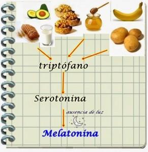 Melatonina , qué alimentos ayudan a producirla triptofano (1)
