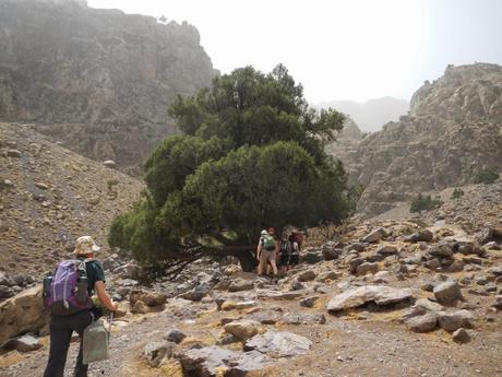 Ruta al Toubkal. Etapa 2. De Tizi Oussem al collado de Aazib Tzikerte