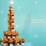 El Nan Casteller talleres