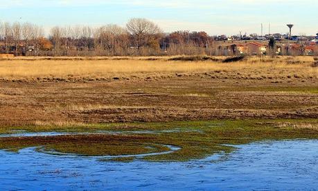 De Chozas a Villar de Mazarife por el Camino de Santiago: lagunas y sorpresas.