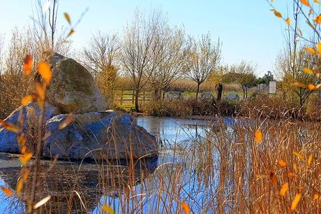 De Chozas a Villar de Mazarife por el Camino de Santiago: lagunas y sorpresas.