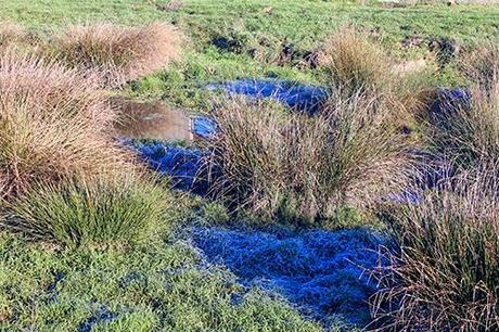De Chozas a Villar de Mazarife por el Camino de Santiago: lagunas y sorpresas.