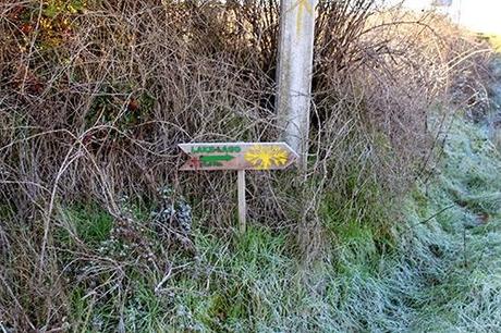 De Chozas a Villar de Mazarife por el Camino de Santiago: lagunas y sorpresas.