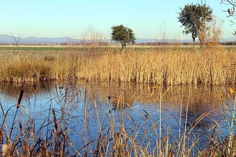 De Chozas a Villar de Mazarife por el Camino de Santiago: lagunas y sorpresas.