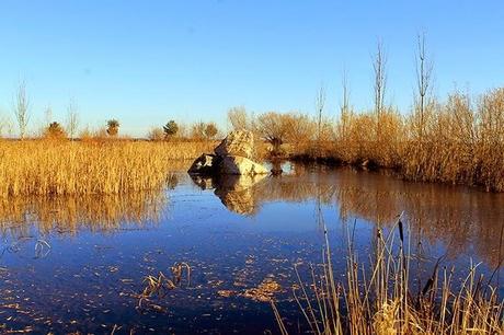 De Chozas a Villar de Mazarife por el Camino de Santiago: lagunas y sorpresas.