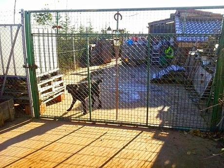 De Chozas a Villar de Mazarife por el Camino de Santiago: lagunas y sorpresas.