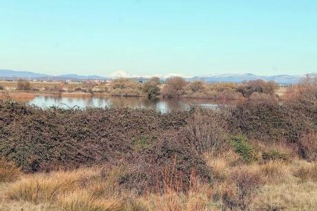 De Chozas a Villar de Mazarife por el Camino de Santiago: lagunas y sorpresas.