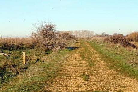 De Chozas a Villar de Mazarife por el Camino de Santiago: lagunas y sorpresas.