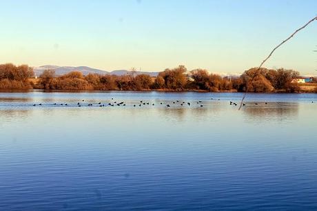 De Chozas a Villar de Mazarife por el Camino de Santiago: lagunas y sorpresas.