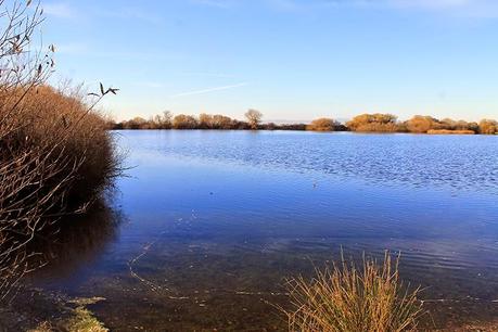 De Chozas a Villar de Mazarife por el Camino de Santiago: lagunas y sorpresas.