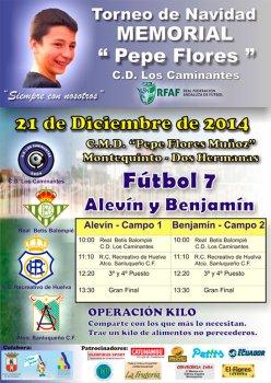 torneopepeflores2014