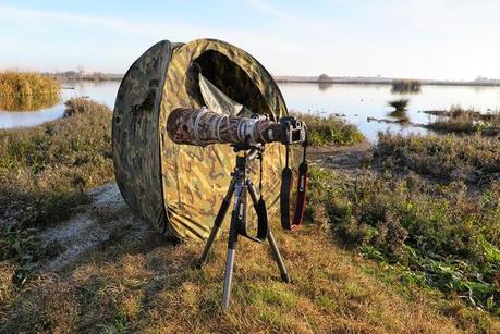 Review Canon EOS 7D Mark II